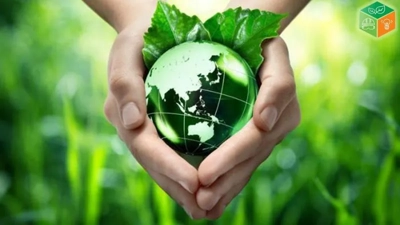 Documentação ambiental para empresas